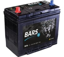 Аккумуляторная батарея BARS Asia 6СТ50 VL АПЗ 236х129х220 045 24 42 03 0021 01