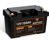 Портативная электростанция WATTICO, тяговой аккумулятор 12В LiFePO4 Powerboat 1280Вт 20А powerboat_100