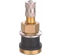 Вентиль для грузовых шин БХЗ d=19х42 TR-501