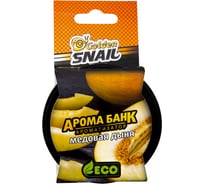 Освежитель Golden Snail АРОМА БАНК ЭКО Медовая Дыня GS6503