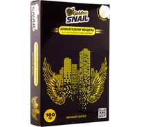 Ароматизатор под сиденье Golden Snail Ночной ангел GS6015