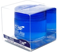 Ароматизатор на панель AZARD Aqua Cool гелевый морской прибой 60 мл CA-15