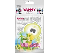 Подвесной картонный ароматизатор с пропиткой Yammy Осьминог Squash 56443