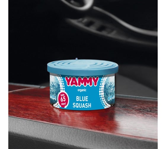 Ароматизатор-баночка с растительным наполнителем Yammy Органик Blue Squash, 42 г 62613