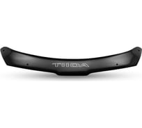 Дефлектор капота DEFLY Nissan Tiida (C11) 2004-2012, правый руль N041