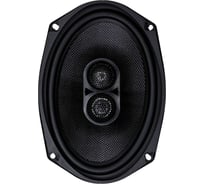 Акустика коаксиальная AMP PRO 693(6) В0000039260