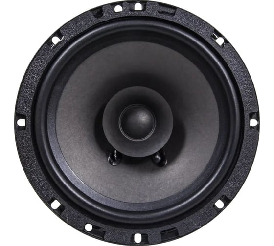Акустика эстрадная AMP PROMO FR65 ver.2 широкополосная В0000036496