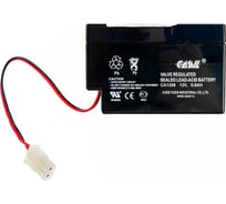 Аккумуляторная батарея CASIL CA1208 10601017