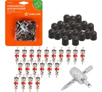 Ремкомплект для вентилей Airline 20 золотников, 20 пластиковых колпачков, 1 метчик в блистере ATRS019