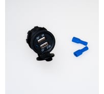 Разъем Usb в авто врезной Pro Legend 12V-24V 2USB Круглый 3.1A PL9382