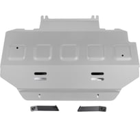 Защита радиатора Rival Great Wall Poer King Kong 2023-/Haval H5 III 2024-, 333.2026.1