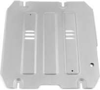 Защита КПП Rival Great Wall Poer King Kong 2023-н.в./Haval H5 III 2024-н.в., 333.2028.1