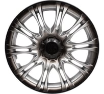 Декоративный колпак Lion X5 серебристо-черный (пруж.) 13" (2) (8) AK1373