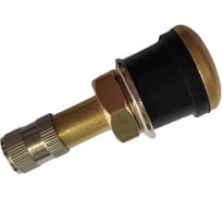 Вентиль бескамерной шины ДАЛИ-авто прямой, 55 мм DA-02249