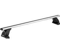 Багажная система LUX 3 ШМ965n ДК 1,1м 795383