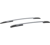 Рейлинги PT Group Серебристый Муар RENAULT Kaptur 2016- 07040801 RKA553001