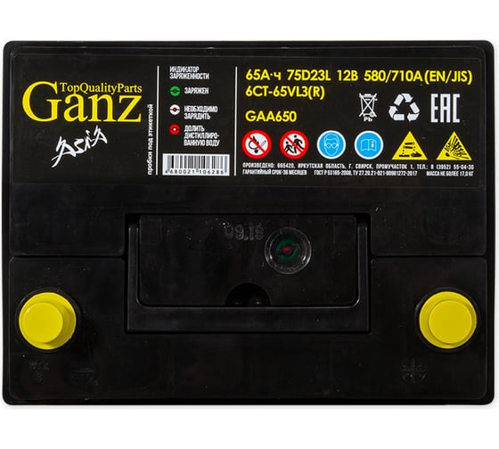 Аккумулятор Ganz ASIA 65 А/ч обратный R+ 232x175x225 D23 EN 580 А GAA650