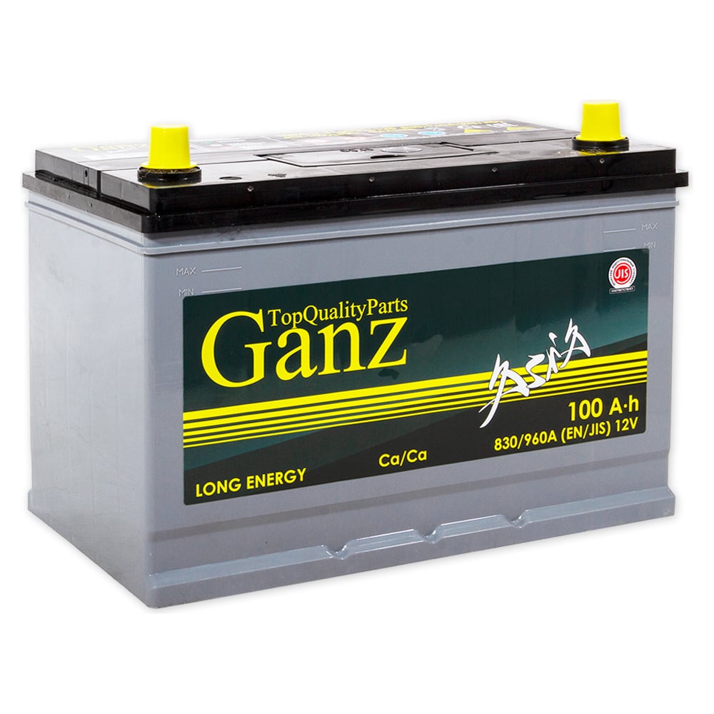 Аккумулятор Ganz ASIA 100 А/ч обратный R+ 304x173x220 D31 EN 830 А ...