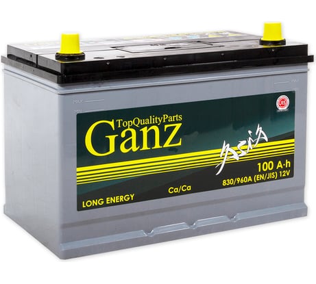 Аккумулятор Ganz ASIA 100 А/ч обратный R+ 304x173x220 D31 EN 830 А GAA1000