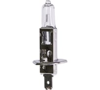 Галогенная автолампа SVS Standard +30% H1, 12 В, 55 Вт, P14.5s 0200003000