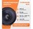 Сабвуферный динамик AMP PROMO 150 124 ver.2 4 Ом, rms1502 В0000041800 3