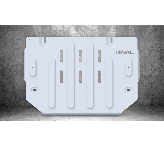 Защита Rival РК для Great Wall Poer King Kong 2023-н.в./Haval H5 2024-н.в., рынок РФ 333.2029.1.6 1