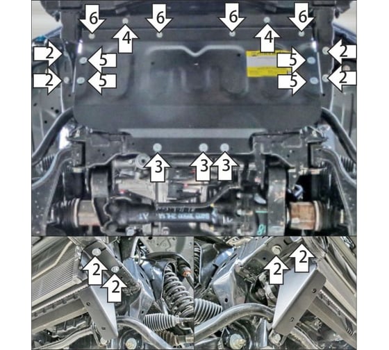 Стальная защита MOTODOR 3 мм Р Oting Paladin, V=2,0, с 2023 г. MOTODOR 18603