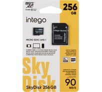 Карта памяти SkyDisk 256GB INTEGO SD-256