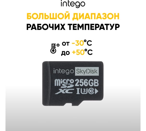 Карта памяти SkyDisk 256GB INTEGO SD-256