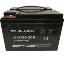 Батарея аккумуляторная тяговая CHILWEE 6-DZM-30B