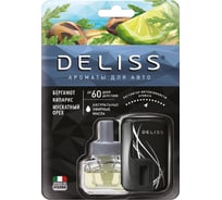 Автомобильный ароматизатор DELISS Comfort 12 New design комплект AUTOC008.01/01