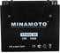 Мотоаккумулятор MINAMOTO YTX20L-BS 7507 2