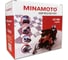 Мотоаккумулятор MINAMOTO YTX20-BS 7511 2