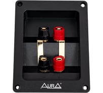 Терминал для подключения акустики AURA bi-wiring, монтажный: 90x70мм, Внешний 120x93мм WTB-931P