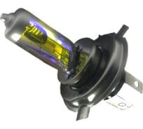 Галогеновая лампа VETTLER H4 12 V 60/55 W всепогодная 4 сезона HD комплект шт. 10 H412V6055W4