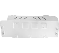 Защита радиатора Rival для Mercedes-Benz G-klasse W464 V - 4.0 421/585 л.с. 2018-н.в. 23.3946.1.6