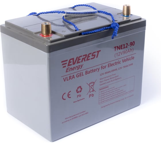 Тяговая аккумуляторная батарея EVEREST Energy TNE 12-90