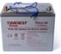 Тяговая аккумуляторная батарея EVEREST Energy TNE 12-90 1