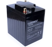 Тяговая аккумуляторная батарея EVEREST Energy TNE 6-245