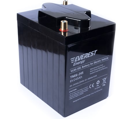 Тяговая аккумуляторная батарея EVEREST Energy TNE 6-245