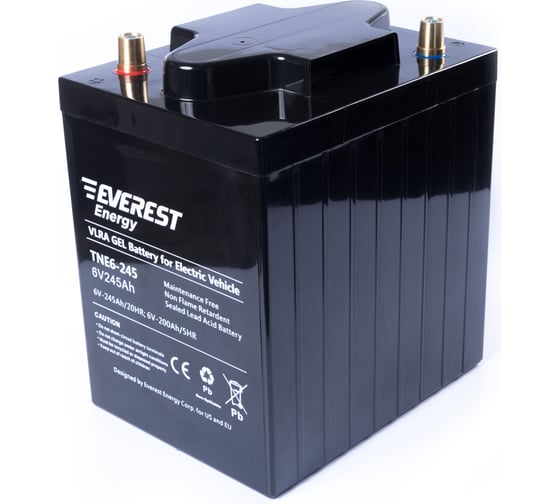 Тяговая аккумуляторная батарея EVEREST Energy TNE 6-245