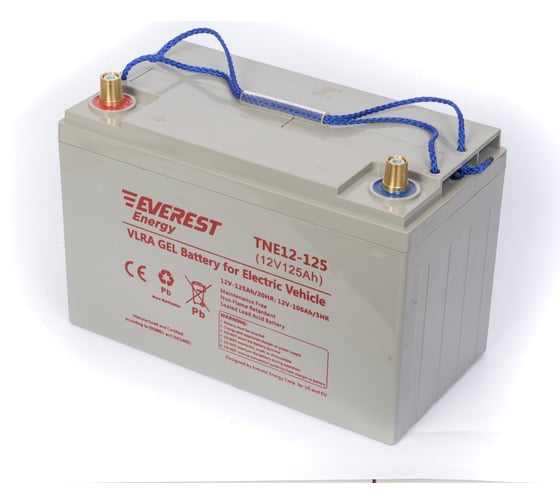 Тяговая аккумуляторная батарея EVEREST Energy TNE 12-125