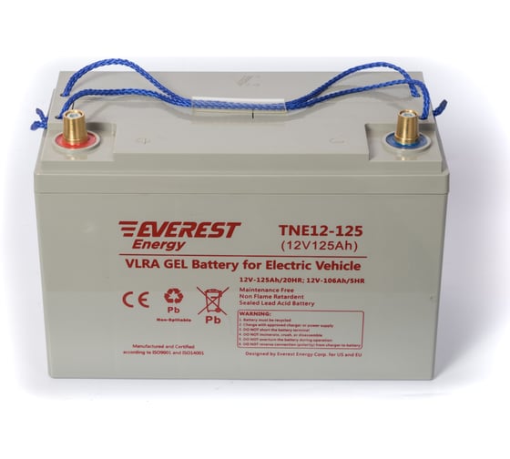 Тяговая аккумуляторная батарея EVEREST Energy TNE 12-125