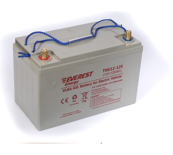 Тяговая аккумуляторная батарея EVEREST Energy TNE 12-125
