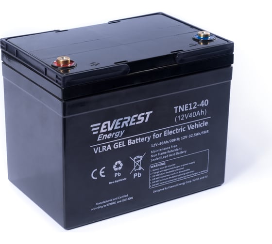 Тяговая аккумуляторная батарея EVEREST Energy TNE 12-40