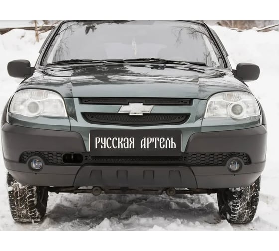 Защитная сетка решетки переднего бампера Русская Артель Chevrolet Niva Bertone 2009- SRC-134052