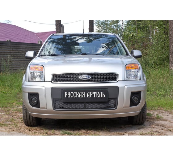 Защитная сетка переднего бампера Русская Артель для Ford Fusion 2005-2012 SBFF-045302
