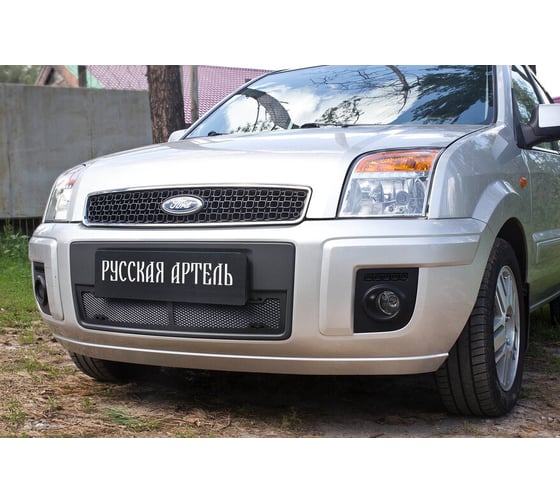 Защитная сетка переднего бампера Русская Артель для Ford Fusion 2005-2012 SBFF-045302