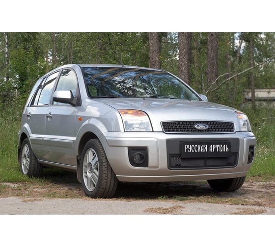 Защитная сетка переднего бампера Русская Артель для Ford Fusion 2005-2012 SBFF-045302