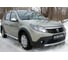 Защитная сетка переднего бампера Русская Артель для Renault Sandero Stepway 2009-2013 SRR-137302 4